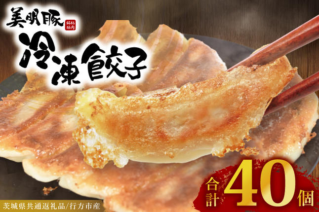 冷凍餃子 40個（20個×2袋） ブランド