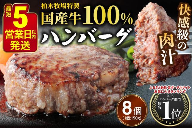 [5営業日以内発送] 柏木牧場特製 国産牛