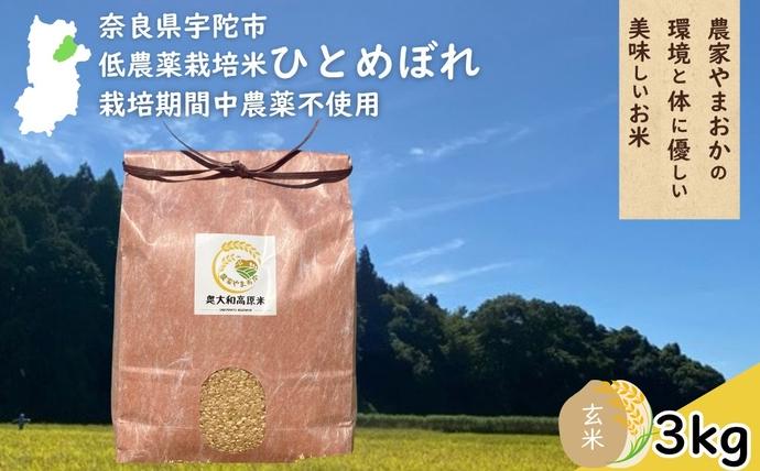 ひとめぼれ 低農薬栽培＜令和7年産 玄米 