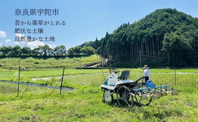 奈良県宇陀市のふるさと納税 【令和8年産】 ひとめぼれ 低農薬栽培 3kg｜玄米・分づき・白米｜単発 / 低農薬 お米 こめ コメ 米 定期便 国産 おにぎり 新米 玄米 一等米 農家やまおか 奈良県 宇陀市 ふるさと納税