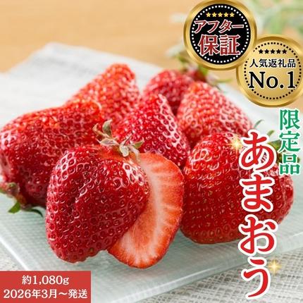 人気１位獲得謝礼品★限定品★あまおう約１，