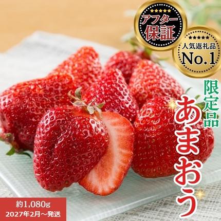 人気１位獲得謝礼品★限定品★あまおう約１，