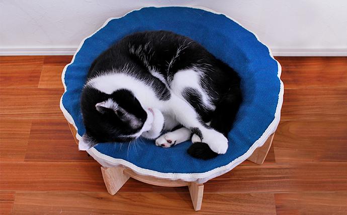 岡山県里庄町のふるさと納税 ハマダの大屋根リング カバー付き（藍色）インテリア 犬 猫 ペット 木製 ベッド ベット 円形 丸型 岡山 里庄町