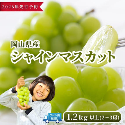【2026年発送分 先行予約】岡山県産 シ