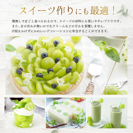 岡山県鏡野町のふるさと納税 【2026年発送分 先行予約】岡山県産 シャインマスカット 1.2kg以上（2～3房）【ご家庭用】【025-a035】