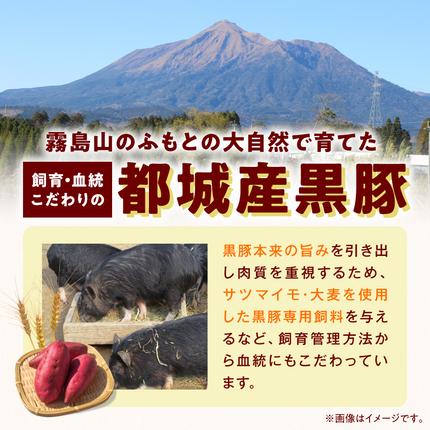 宮崎県都城市のふるさと納税 黒豚生ハム1.4kg_MJ-2519