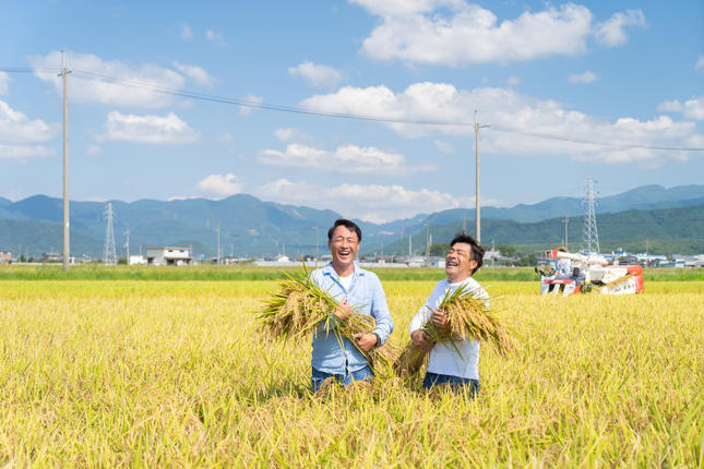 滋賀県豊郷町のふるさと納税 特A受賞歴 米 5kg コシヒカリ 無洗米 令和7年産 お米 こしひかり 近江米 こめ コメ