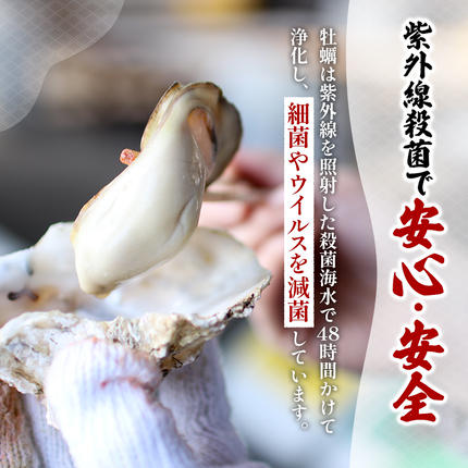 北海道厚岸町のふるさと納税 剥き牡蠣 160g 北海道 厚岸産 ムキ牡蠣 むき身 海鮮 海の幸 生牡蠣 かき カキ 生 ムキカキ むきがき むき牡蠣 ムキガキ マルえもん