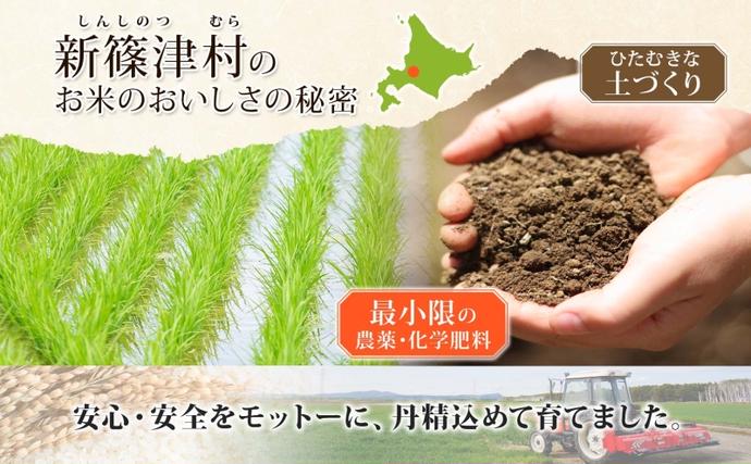 北海道新篠津村のふるさと納税 無地熨斗 北海道 R7年産 北海道産 ななつぼし 10kg 精米 米 白米 ごはん お米 特A 獲得 10キロ 北海道米 新しのつ米 令和7年産 送料無料 お届け