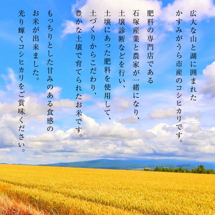 茨城県桜川市のふるさと納税 ＼ 2月出荷 ／【令和7年産】コシヒカリ 精米 5kg（5kg×1袋）（茨城県共通返礼品 かすみがうら市産） 米 ごはん もっちり 甘い コメ お米 白米 銘柄米 [EX010sa-02]