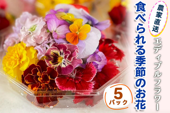 農家直送！加藤さんちのエディブルフラワー 5パック (1パックあたり