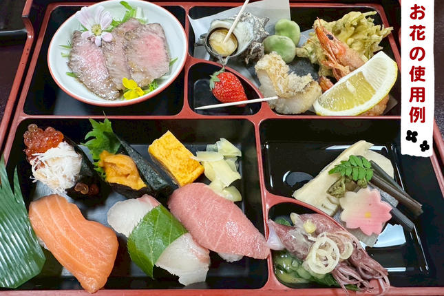 農家直送！加藤さんちのエディブルフラワー 5パック (1パックあたり
