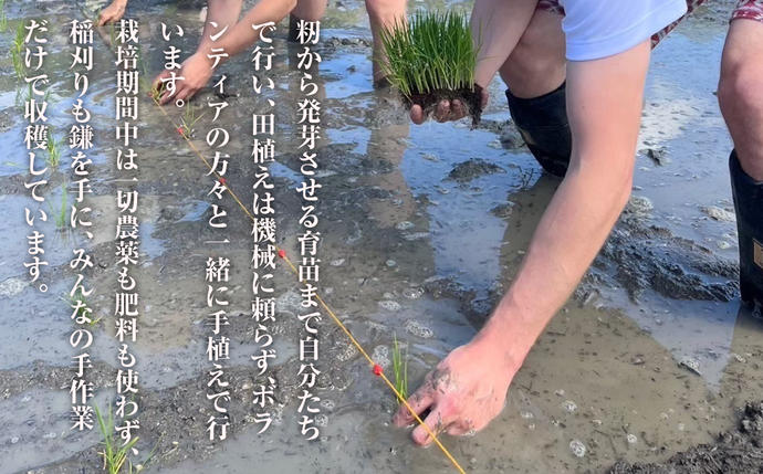 兵庫県淡路市のふるさと納税 來子道米 ～きしどうまい～ 450g×3個 【栽培期間中、無農薬無肥料】 精米 白米