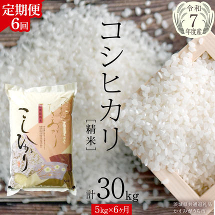 茨城県桜川市のふるさと納税 【 6ヶ月 定期便 】【 令和7年産 】 コシヒカリ 精米 5kg × 6回 ( 合計 30kg )（茨城県共通返礼品かすみがうら市）米 ごはん もっちり 甘い コメ お米 白米 銘柄米 [EX018sa]