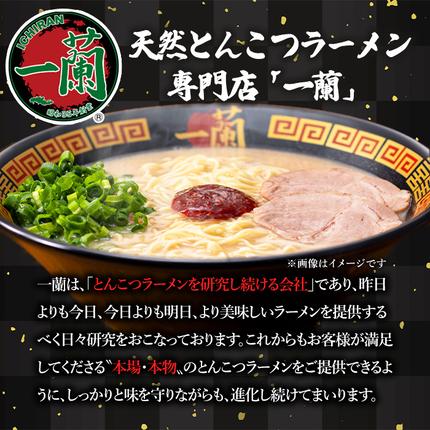鹿児島県日置市のふるさと納税 No.1099-C 一蘭ラーメンちぢれ麺(計5食・スープ付き) 麺 ラーメン 常温 常温保存 簡単 簡単調理 中華 お手軽 インスタント 本格 博多ラーメン 備蓄 保存食 仕送り 日置市限定 一蘭 ちぢれ麺 【株式会社一蘭】【1099-A】【1099-B】【1099-C】【1363】【1364】【1365】【1366】【1367】【1368】