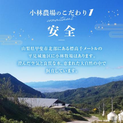 山梨県甲斐市のふるさと納税 【甲州ワインビーフ モモブロック】小林牧場　人気　おすすめ　国産　贈答　ギフト　お取り寄せ　肉　牛肉　甲州ワインビーフ　山梨県　高級　ジューシー　とろける　旨味　赤身　ローストビーフ