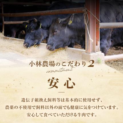 山梨県甲斐市のふるさと納税 【甲州ワインビーフ モモブロック】小林牧場　人気　おすすめ　国産　贈答　ギフト　お取り寄せ　肉　牛肉　甲州ワインビーフ　山梨県　高級　ジューシー　とろける　旨味　赤身　ローストビーフ