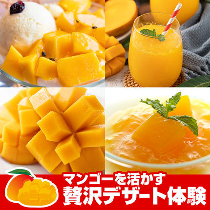 沖縄県南風原町のふるさと納税 【2026年発送】すみれ農園のアーウィンマンゴー家庭用1.5kg