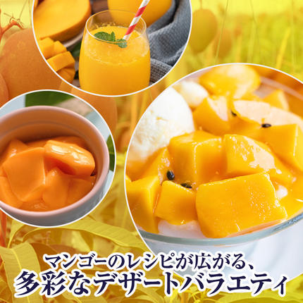 沖縄県南風原町のふるさと納税 【2026年発送】南野園　家庭用　アーウィンマンゴー1.5kg