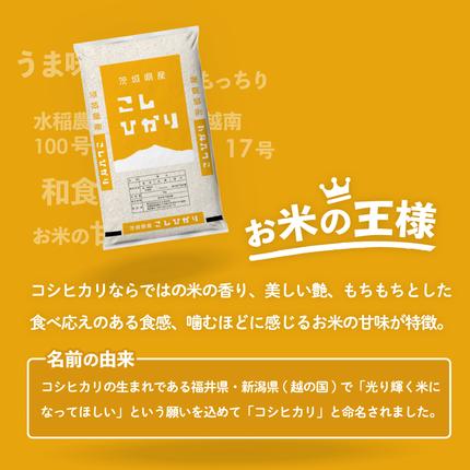茨城県八千代町のふるさと納税 【スピード発送】コシヒカリ 5kg (5kgx1袋) 令和7年産 茨城県産 こしひかり 白米 精米 茨城県 八千代町 お米 米 [SF561yai]
