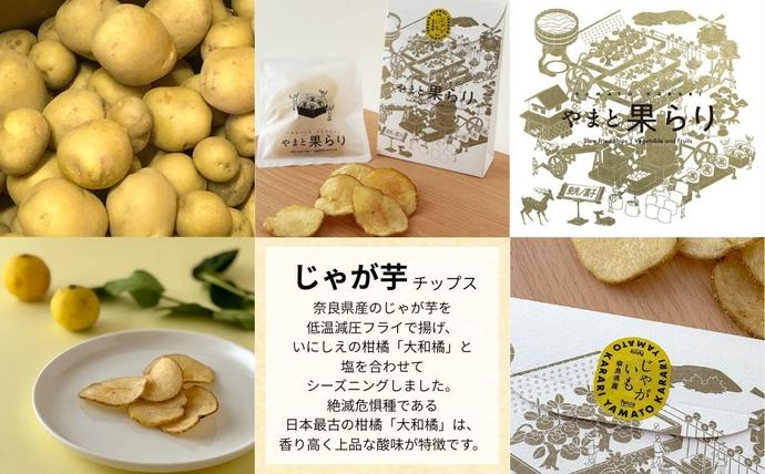 奈良県宇陀市のふるさと納税 やまと果らり アソート 6袋 〈箱入り〉／ 野菜チップス お菓子 クラフトチップス 無添加 無着色 お菓子 ポテチ 手土産 ギフト 手提げ付 リリオンテ 奈良県 宇陀市 ふるさと納税