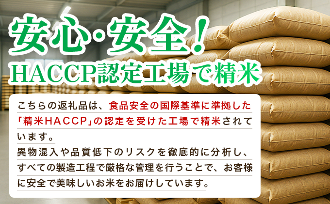 福岡県大木町のふるさと納税 【最短7営業日以内発送】令和7年産 福岡県産米100％使用！大木町 ゆめおおき 5kg ※北海道・沖縄・離島は配送不可 CY005