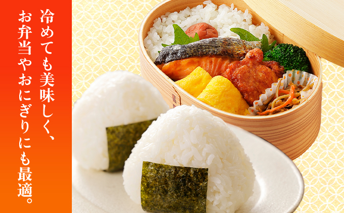 福岡県大木町のふるさと納税 【最短7営業日以内発送】令和7年産 福岡県産米100％使用！大木町 ゆめおおき 5kg ※北海道・沖縄・離島は配送不可 CY005