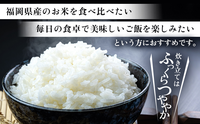 福岡県大木町のふるさと納税 令和7年産 福岡県産米100％使用！大木町 ゆめおおき 10kg ※北海道・沖縄・離島は配送不可 CY006