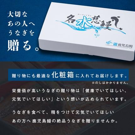 鹿児島県志布志市のふるさと納税 【10営業日以内に発送】鹿児島県産うなぎ蒲焼 名水慈鰻 5尾＜計800g以上＞ b8-043