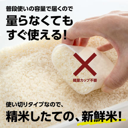 茨城県つくばみらい市のふるさと納税 最短翌日出荷!! 【 お試しサイズ 】 コシヒカリ 450g (450g×1袋)  令和7年産 茨城県産 お試し ♪ 3合 五つ星お米マイスター監修 即納 ポスト投函 精米 茨城 お米 おこめ ごはん 白米 米 茨城産 こしひかり [DW29-NT]