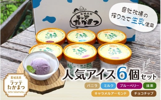 ラッテたかまつ 人気アイス 6個セット /葛城 高原 牧場 ラッテのアイス[latt024]