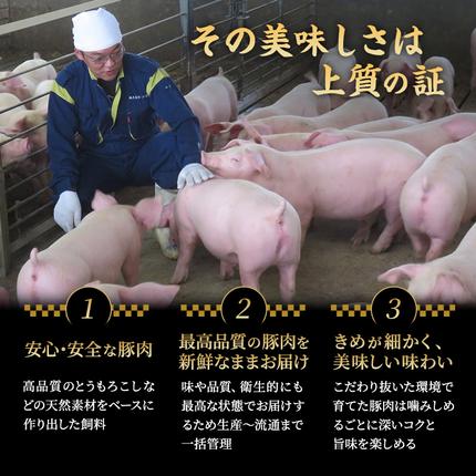 宮城県大河原町のふるさと納税 和豚もちぶた 3ヵ月定期便 計1.8kg しゃぶしゃぶ 焼肉 スライス 豚肉