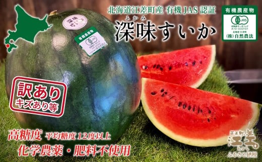 北海道江差町のふるさと納税 【2026年8月下旬発送開始】【訳あり】北海道産 黒皮 深味すいか  中玉 5.5kg以上 1玉  有機農産物（JAS認証）　高糖度　化学農薬不使用　オーガニック　有機農業　スイカ　すいか　西瓜　 高級西瓜　黒皮すいか　黒玉スイカ　フルーツ　果物　くだもの 　B品　規格外