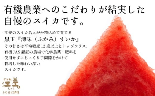 北海道江差町のふるさと納税 【2026年8月下旬発送開始】【訳あり】北海道産 黒皮 深味すいか  中玉 5.5kg以上 1玉  有機農産物（JAS認証）　高糖度　化学農薬不使用　オーガニック　有機農業　スイカ　すいか　西瓜　 高級西瓜　黒皮すいか　黒玉スイカ　フルーツ　果物　くだもの 　B品　規格外