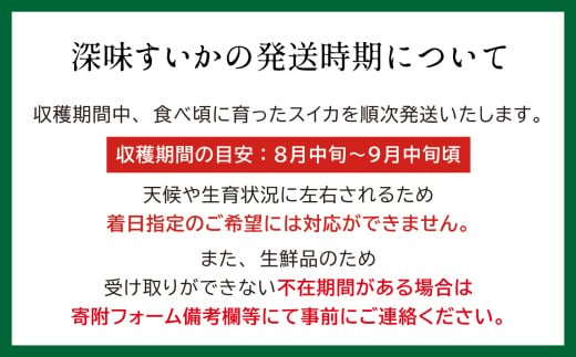 北海道江差町のふるさと納税 【2026年8月下旬発送開始】【訳あり】北海道産 黒皮 深味すいか  中玉 5.5kg以上 1玉  有機農産物（JAS認証）　高糖度　化学農薬不使用　オーガニック　有機農業　スイカ　すいか　西瓜　 高級西瓜　黒皮すいか　黒玉スイカ　フルーツ　果物　くだもの 　B品　規格外