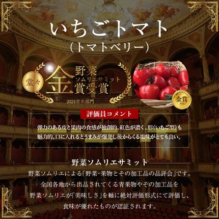 愛知県碧南市のふるさと納税 【2026年度予約分】【お試し】幻のミニトマト??トマトベリー約800g 長田農園 野菜ソムリエサミット 金賞 受賞 産地直送 トマト とまと 野菜 やさい フルーツ サラダ 濃厚 甘い ご褒美 プレゼント 美容 健康 リピート多数 人気 高評価 先行受付 数量限定 碧南市 H004-114