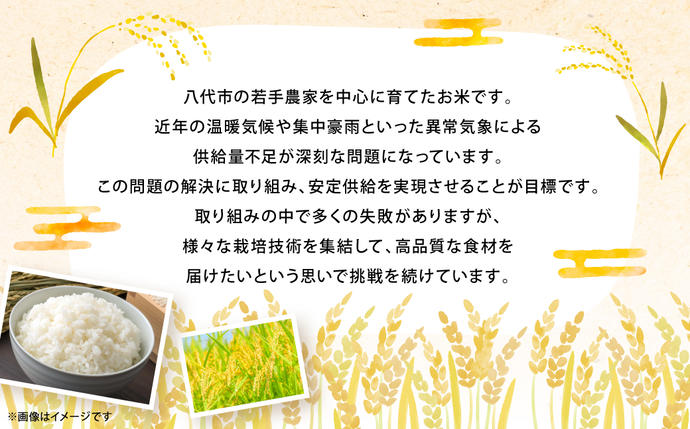 熊本県八代市のふるさと納税 《令和7年産》 熊本県八代市産 山海太陽 自然の恵みをたっぷり浴びたモスのお米 5kg ヒノヒカリ 米 お米 精米 白米 ごはん ご飯 モスバーガー 熊本