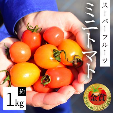 スーパーフルーツ ミニトマト 約1kg 2026年2月上旬発送開始 ミニトマト