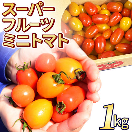 2027年 収穫分 》 スーパーフルーツミニトマト 約1kg 先行予約 ミニ
