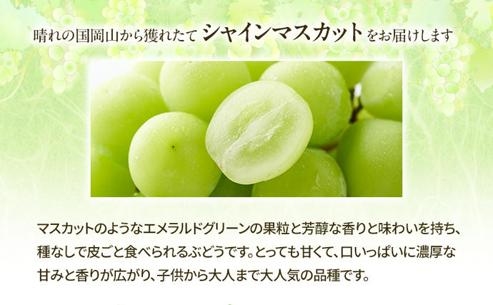 岡山県里庄町のふるさと納税 【2026年先行予約】 桃 ぶどう 欲張りセレクト 定期便 2回コース ( 白桃 ・ シャインマスカット ）《2026年7月上旬-8月中旬頃出荷》 もも モモ 葡萄 ブドウ 里庄町 数量限定