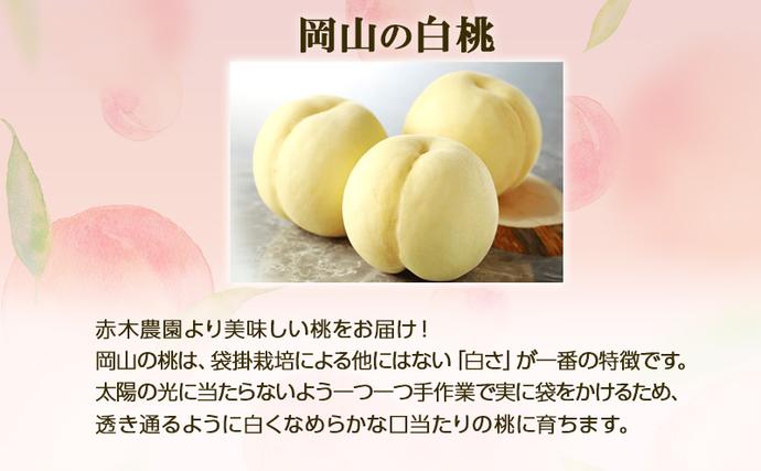 岡山県里庄町のふるさと納税 【2026年先行予約】 桃 ぶどう 欲張りセレクト 定期便 2回コース ( 白桃 ・ シャインマスカット ）《2026年7月上旬-8月中旬頃出荷》 もも モモ 葡萄 ブドウ 里庄町 数量限定