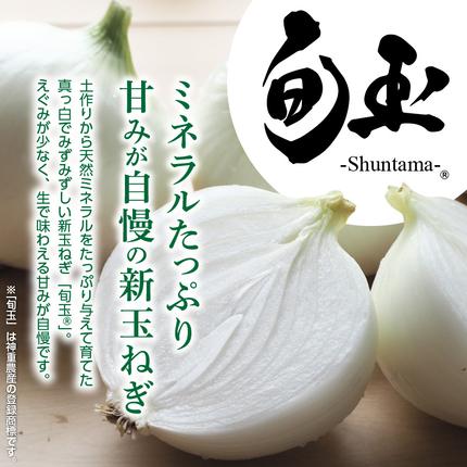 愛知県碧南市のふるさと納税 (2026年発送)【お試し】新玉ねぎ 生がおいしい 神重農産のブランド玉ねぎ「旬玉」3kg ブランド玉ねぎ 玉ねぎ 国産 愛知県産 野菜 やさい 農家直送 畑直送 旬 期間限定 たまねぎ 先行予約 旬 特産 高評価 高リピート 人気 H105-174