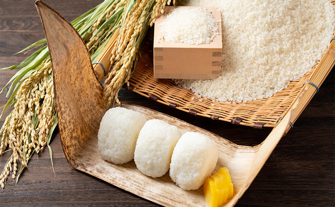 兵庫県小野市のふるさと納税 兵庫県小野市産 ヒノヒカリ 5kg（精米）　米 コメ こめ ごはん 白米 精米 ひのひかり 兵庫県 小野市