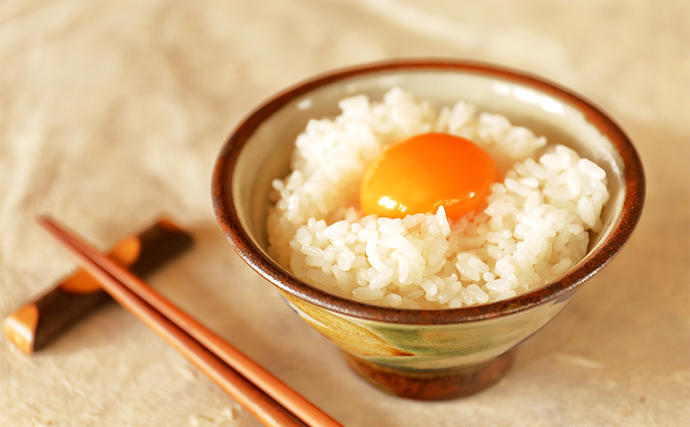 兵庫県小野市のふるさと納税 兵庫県小野市産 ヒノヒカリ 5kg（精米）　米 コメ こめ ごはん 白米 精米 ひのひかり 兵庫県 小野市