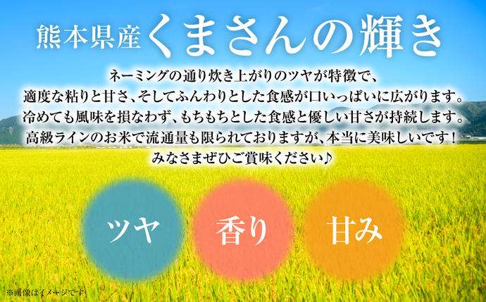 熊本県八代市のふるさと納税 【令和7年産】 熊本県産 くまさんの輝き 5kg (5kg×1袋) 米 お米 精米 白米 ごはん ご飯 熊本県 八代市