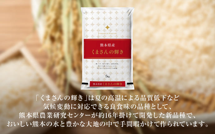 熊本県八代市のふるさと納税 【令和7年産】 熊本県産 くまさんの輝き 5kg (5kg×1袋) 米 お米 精米 白米 ごはん ご飯 熊本県 八代市