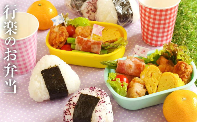 熊本県八代市のふるさと納税 【令和7年産】 熊本県産 くまさんの輝き 5kg (5kg×1袋) 米 お米 精米 白米 ごはん ご飯 熊本県 八代市