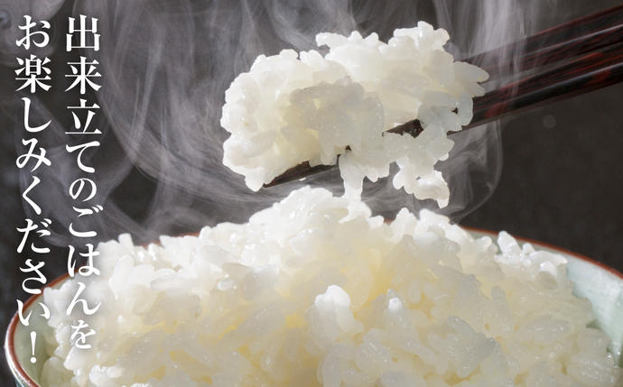 熊本県八代市のふるさと納税 【令和7年産】 熊本県産 くまさんの輝き 5kg (5kg×1袋) 米 お米 精米 白米 ごはん ご飯 熊本県 八代市