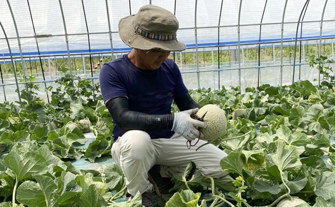 北海道富良野市のふるさと納税 【2026年7～9月連続お届け】3品種 ふらの メロン 定期便 ≪計3玉≫ 北海道 富良野市 (高見農園) メロン フルーツ 果物 新鮮 甘い 贈り物 ギフト 道産 ジューシー おやつ ふらの ブランド 夏