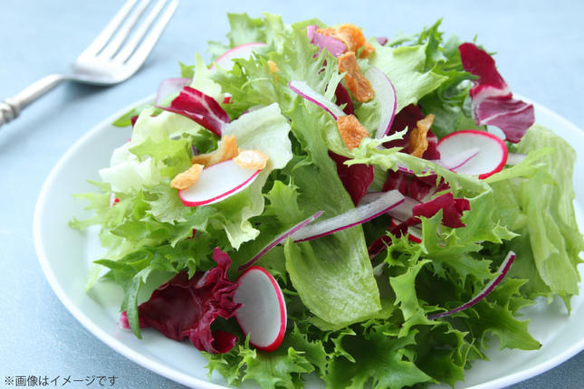 長崎県島原市のふるさと納税 BF058 【6回定期便】旬の野菜・フルーツ (12〜14品目)・卵 (6個) おまかせ セット【 野菜 果物 卵 やさい くだもの 果物 タマゴ たまご 詰め合わせ 江戸屋 長崎県 島原市 】